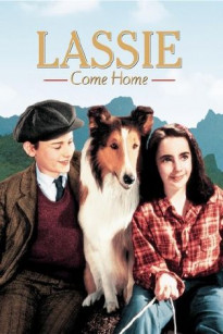 Lassie về nhà